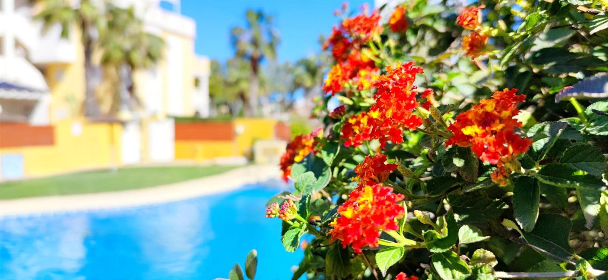 Apartamento Playa Sol By Denia Costa Exterior photo