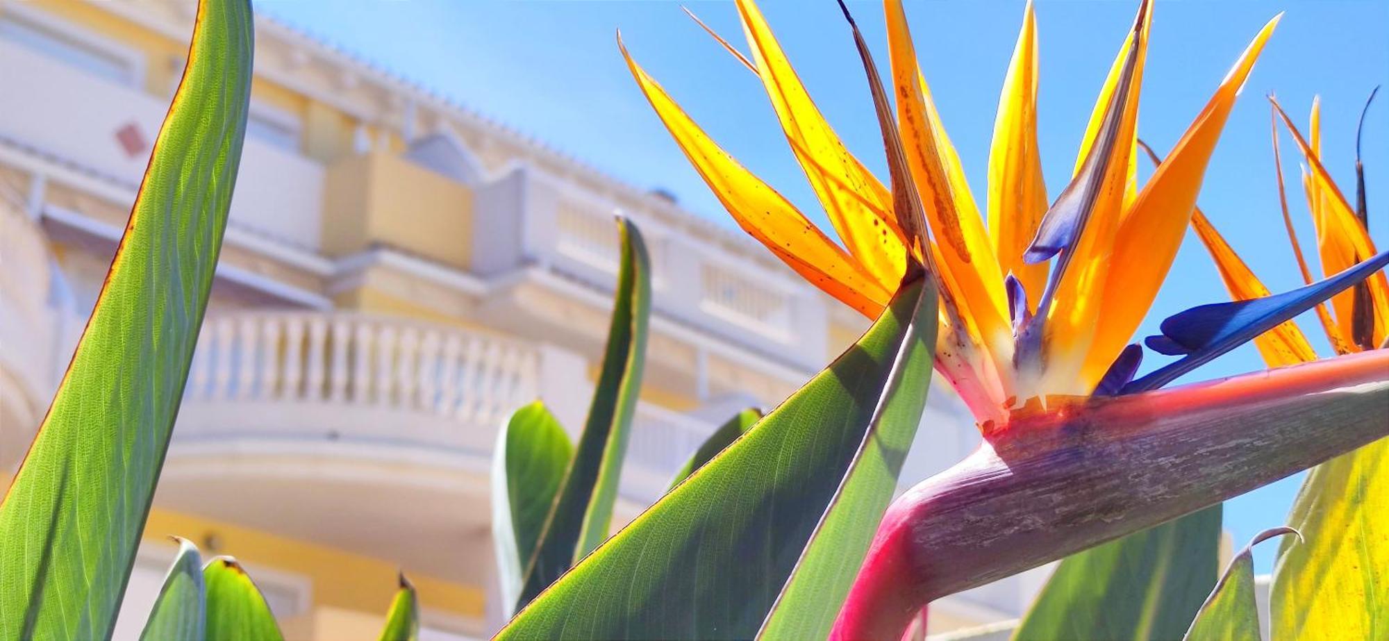 Apartamento Playa Sol By Denia Costa Exterior photo